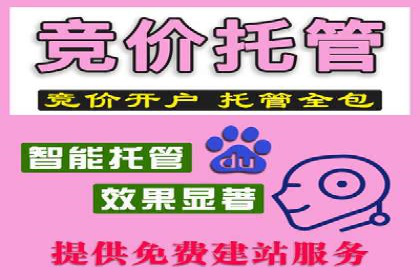 百度竞价广告投放案例对比